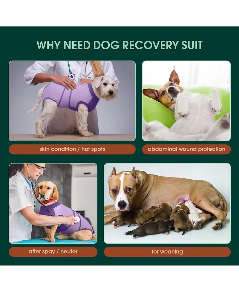 Cotton-Spandex Post-Surgery Recovery Bodysuit Onesie for Dogs