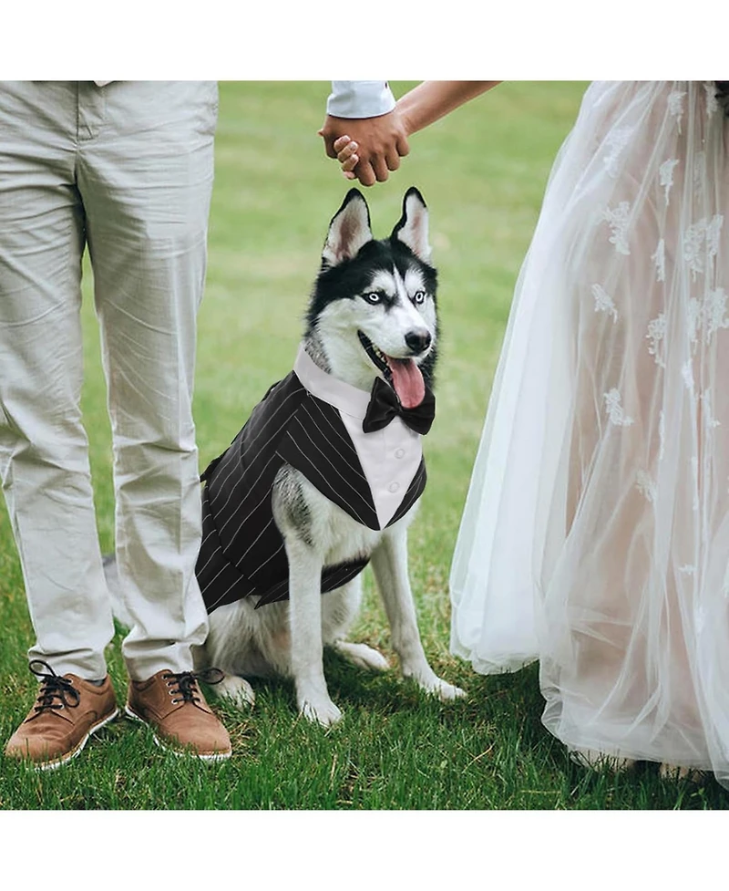 Formal Tuxedo and Bandana Set with Detachable Bowtie Collar and D-Ring for Dogs