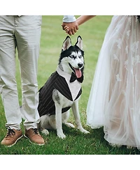 Formal Tuxedo and Bandana Set with Detachable Bowtie Collar and D-Ring for Dogs