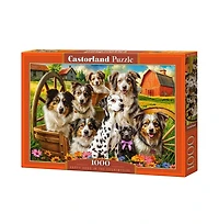 Castorland Happy Dogs In The Countryside 1000 Piece Jigsaw Puzzle, Ages 14+
