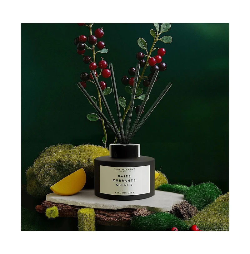 Environment Diffuser Inspired By Diptyque Baies Baies Currants Quince