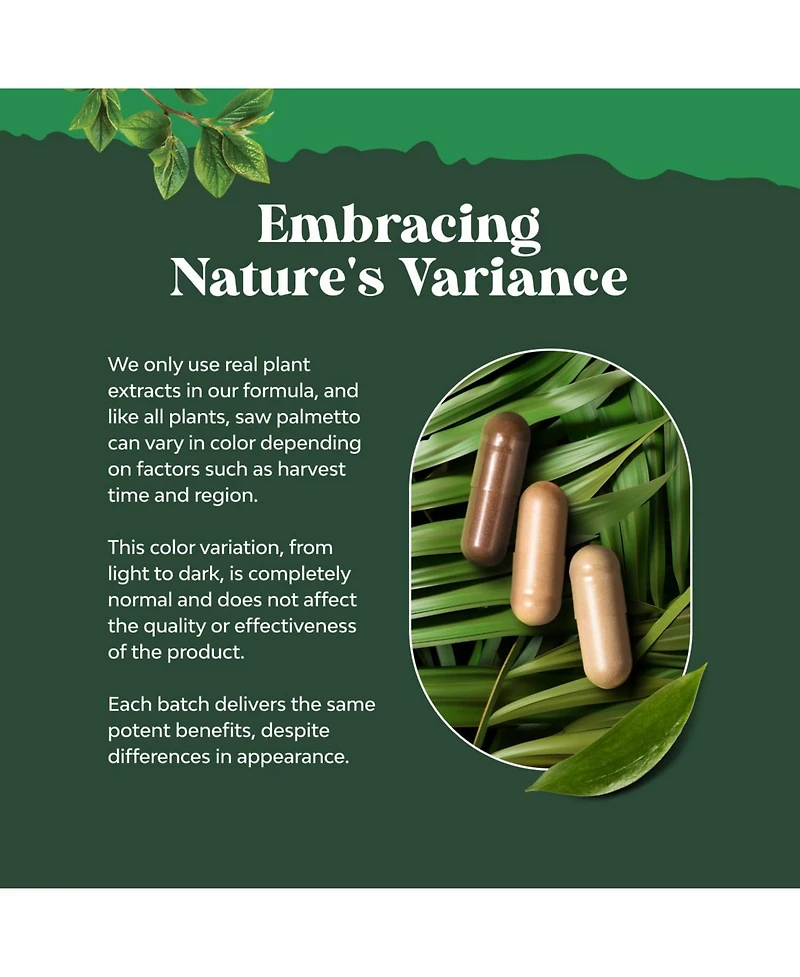 Nature's Craft Saw Palmetto Extract Herbal Supplement, 500 Milligram per Serving, Plant Sterols and Flavonoids, 100 Capsules