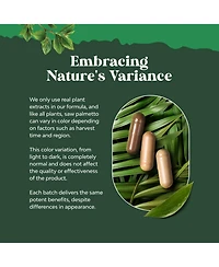 Nature's Craft Saw Palmetto Extract Herbal Supplement, 500 Milligram per Serving, Plant Sterols and Flavonoids, 100 Capsules