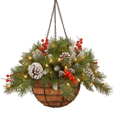 National Tree Company 20" Frosted Berry Hanging Basket With Cones, Berries & 50 Led Battery-Operated Lights With Timer
