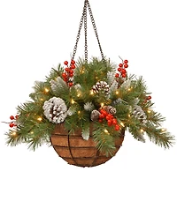 National Tree Company 20" Frosted Berry Hanging Basket With Cones, Berries & 50 Led Battery-Operated Lights With Timer