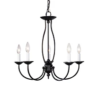 Livex Home Basics Chandelier