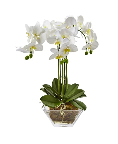 Nearly Natural Triple Phalaenopsis Orchid in Glass Vase