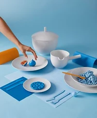 Rosenthal Thomas By Loft Dinnerware Collection