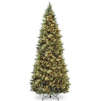 National Tree Company 10' Carolina Pine Slim Wrapped Tree with Flocked Cones & Clear Lights