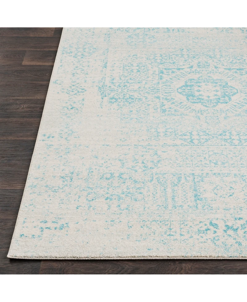Livabliss Harput Hap-1026 Teal 2'7" x 7'3" Area Rug