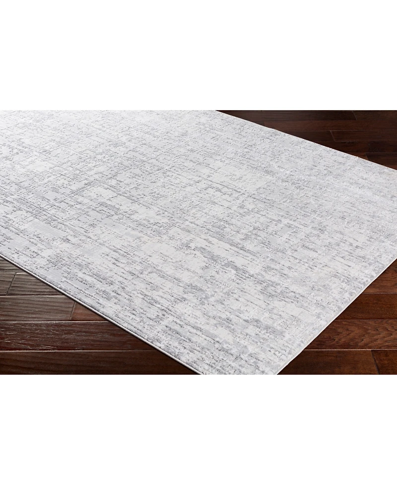Livabliss Aisha Ais-2305 Light Gray 9'3" x 12'3" Area Rug