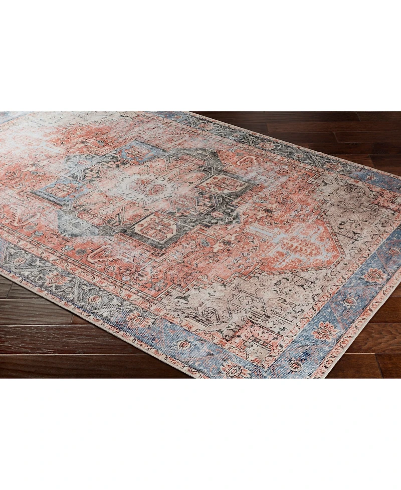 Livabliss Amelie Aml-2309 Rose Machine-Washable 2' x 3' Area Rug