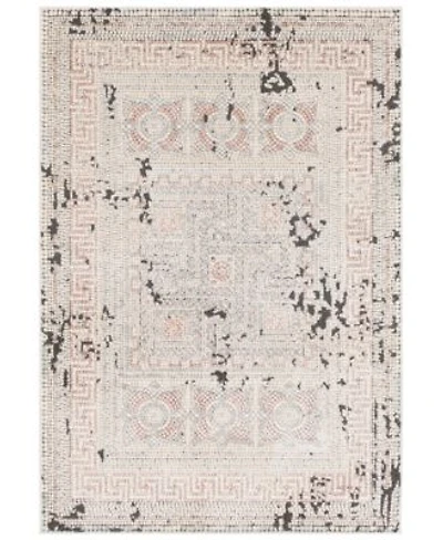 Livabliss Venezia Vnz 2301 Rose Area Rug Collection