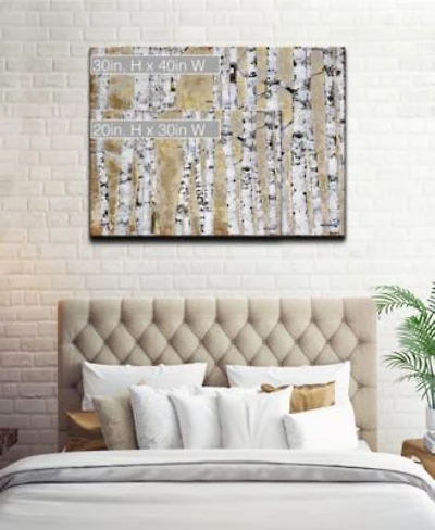 Ready2hangart Collection Birch Woods Canvas Wall Art Collection