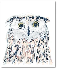 Courtside Market Gg Funky Owl Portrait Ii Gallery-Wrapped Canvas Wall Art - 18" x 24"