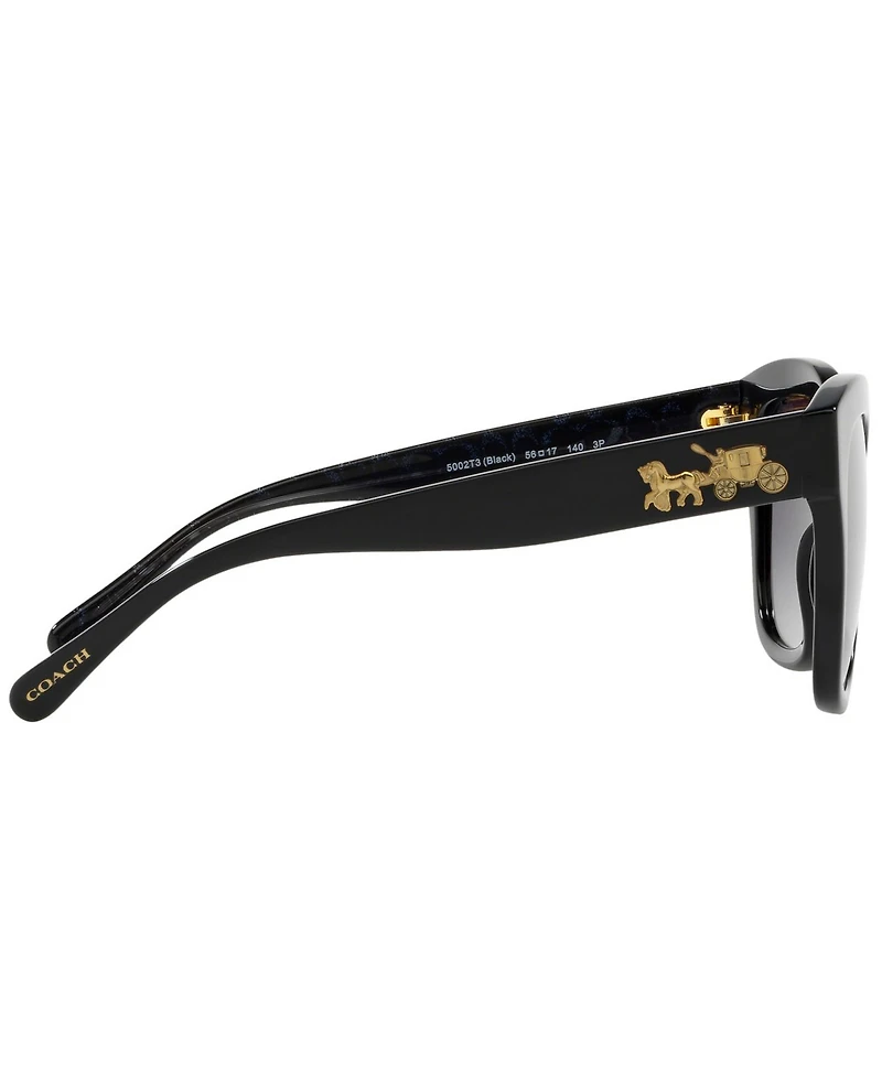 Coach Polarized Sunglasses, HC8264 L1083
