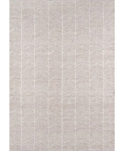Easton Eas 2 Machine Washable Congress Gray Area Rug Collection