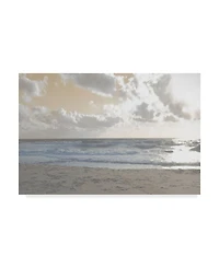 Sharon Chandler Serene Sea 3 Canvas Art - 37" x 49"