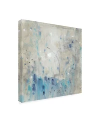 Tim O'Toole Blue Wandering I Canvas Art - 36.5" x 48"