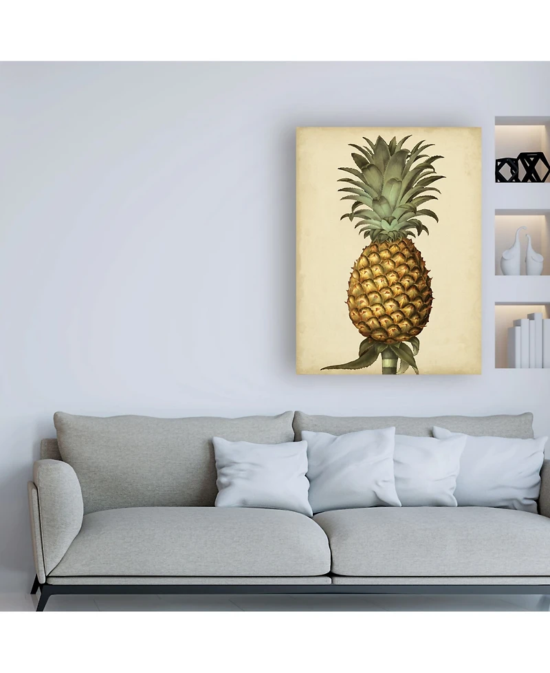 George Brookshaw Brookshaw Antique Pineapple I Canvas Art - 19.5" x 26"