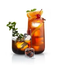 Joyjolt Black Swan Glassware Collection