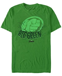Marvel Men's Hulk Big Green Punch, Short Sleeve T-shirt