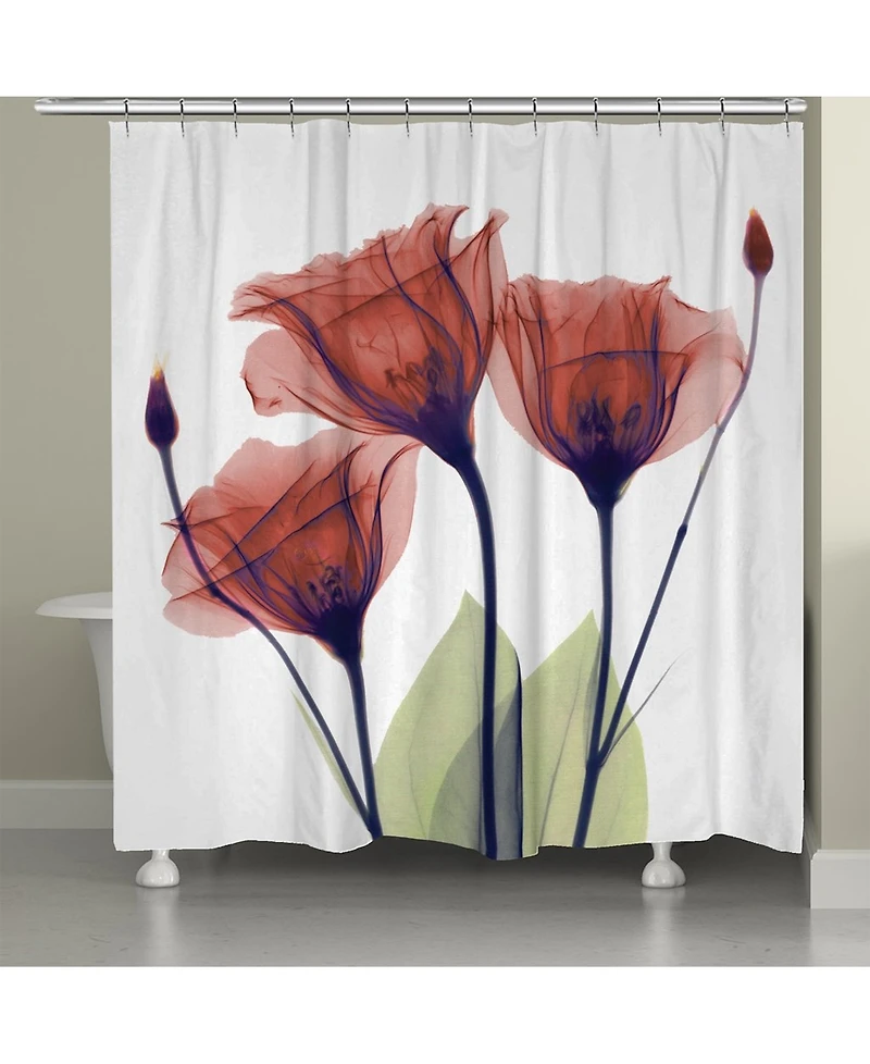 Laural Home Red Gentian X-ray Flowers Shower Curtain, 71" x 72"