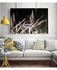 Giant Art 20" x 16" Chiffon Light Sculpture Museum Mounted Canvas Print