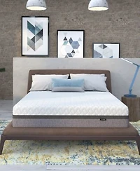 12park Smart Temp 13 Plush Mattress In A Box Collection