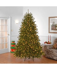National Tree Company 7' Dunhill Fir Hinged Tree with 700 Clear Lights