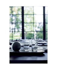 Villeroy & Boch New Moon Highball Set of 4