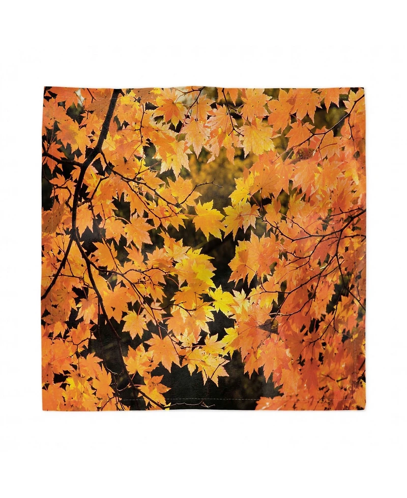 Ambesonne Fall Set of 4 Napkins, 18" x 18"