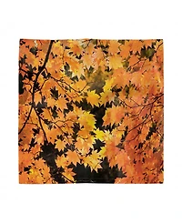 Ambesonne Fall Set of 4 Napkins, 18" x 18"
