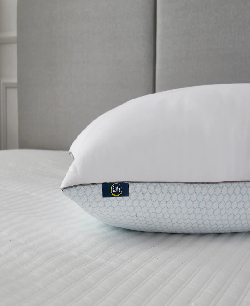 Serta Flipable Summer/Winter White Goose Feather 2-Pack Pillow, Standard/Queen