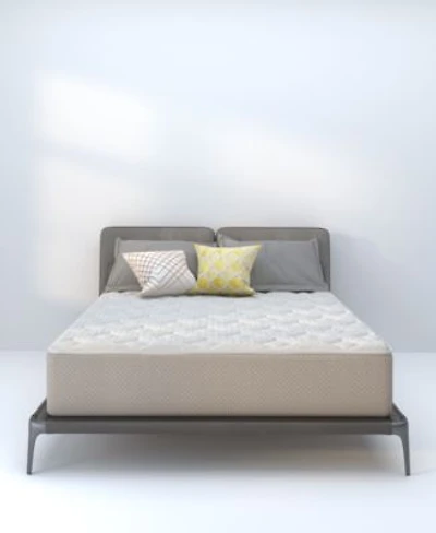 Dusk Dawn 12 Medium Plush Mattress In A Box Collection