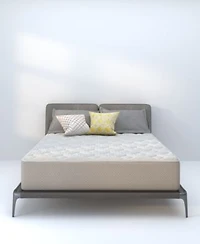 Dusk Dawn 12 Medium Plush Mattress In A Box Collection