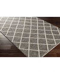 Surya Napels Npl-2302 Mocha 2' x 3' Area Rug