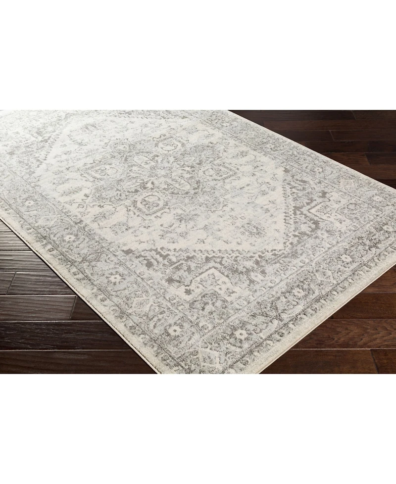 Livabliss Chester Che-2312 6'7" x 9' Area Rug