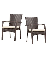 Noble House Wilkerson Outdoor Dining Chair with Cushion, Set of 2