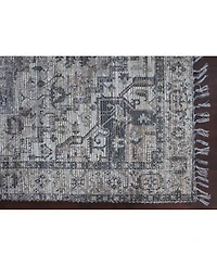 Amer Rugs Prairie Pre-6 Gray 3'6" x 5'6" Area Rug