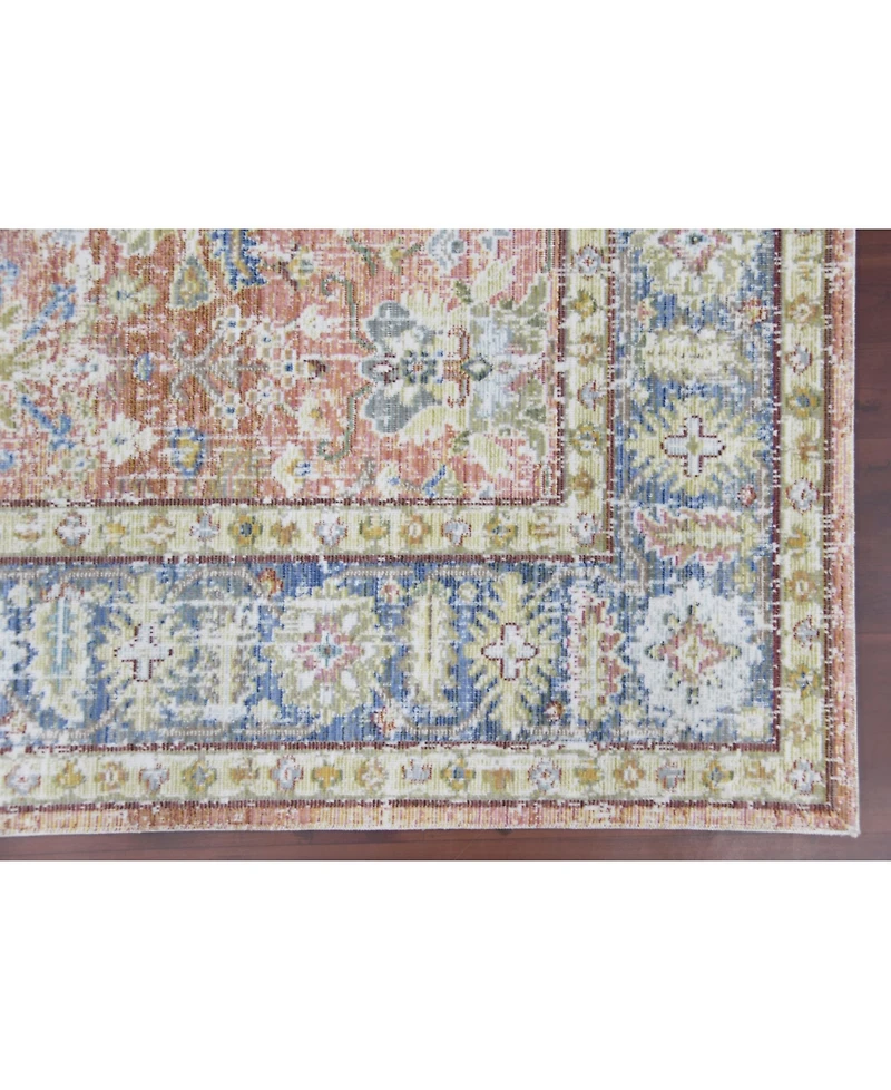 Amer Rugs Century Cen-16 Coral 5'3" x 7'3" Area Rug