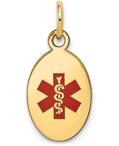Medical Info Charm Pendant in 14k Gold