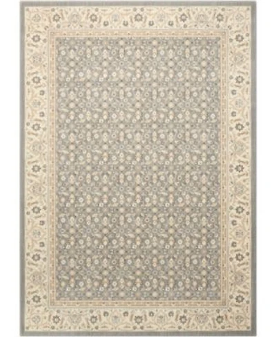 Nourison Home Persian Empire Pe26 Silver Rug