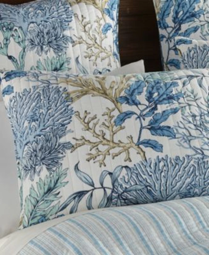 Levtex Mahina Quilt Sets