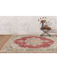 Amer Rugs Century Cen 20 Burgundy Area Rug Collection
