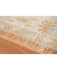 Amer Rugs Bohemian Bhm-4 Orange 7'9" x 9'9" Outdoor Area Rug