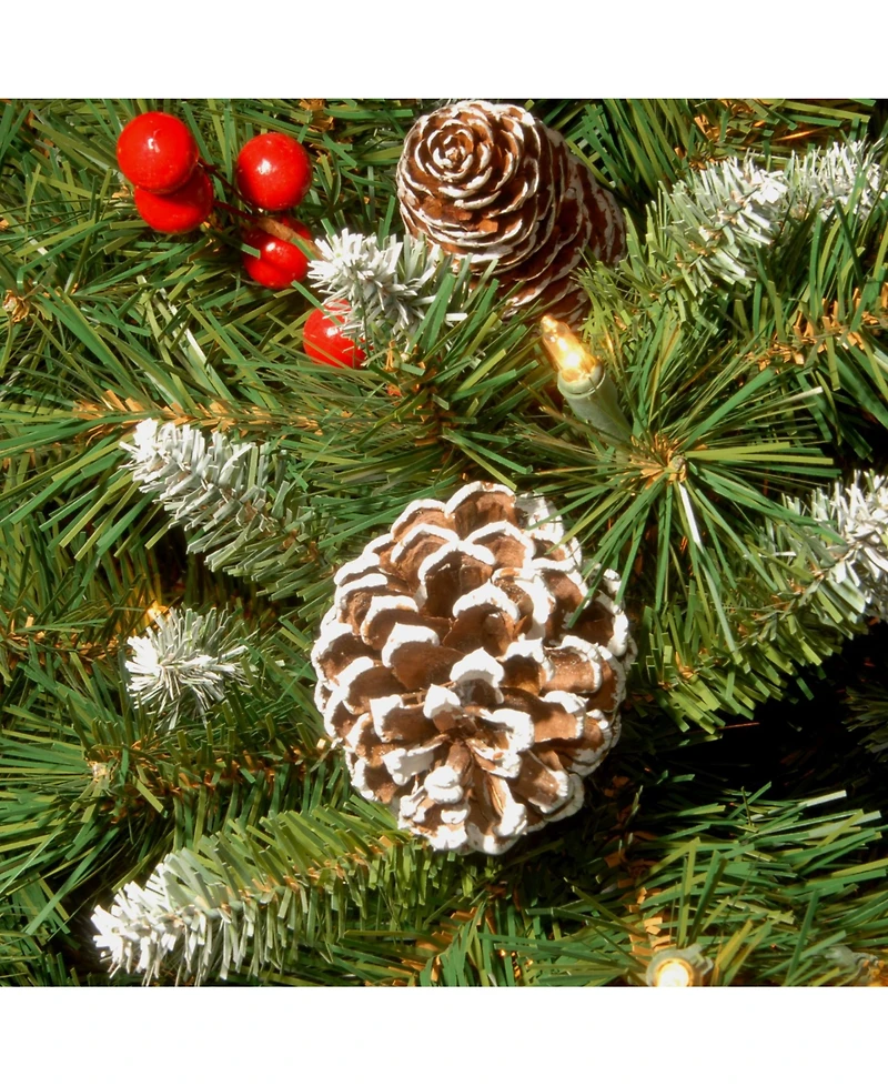 National Tree Company 36" Frosted Berry Teardrop with Battery Operated Warm White Led Lights