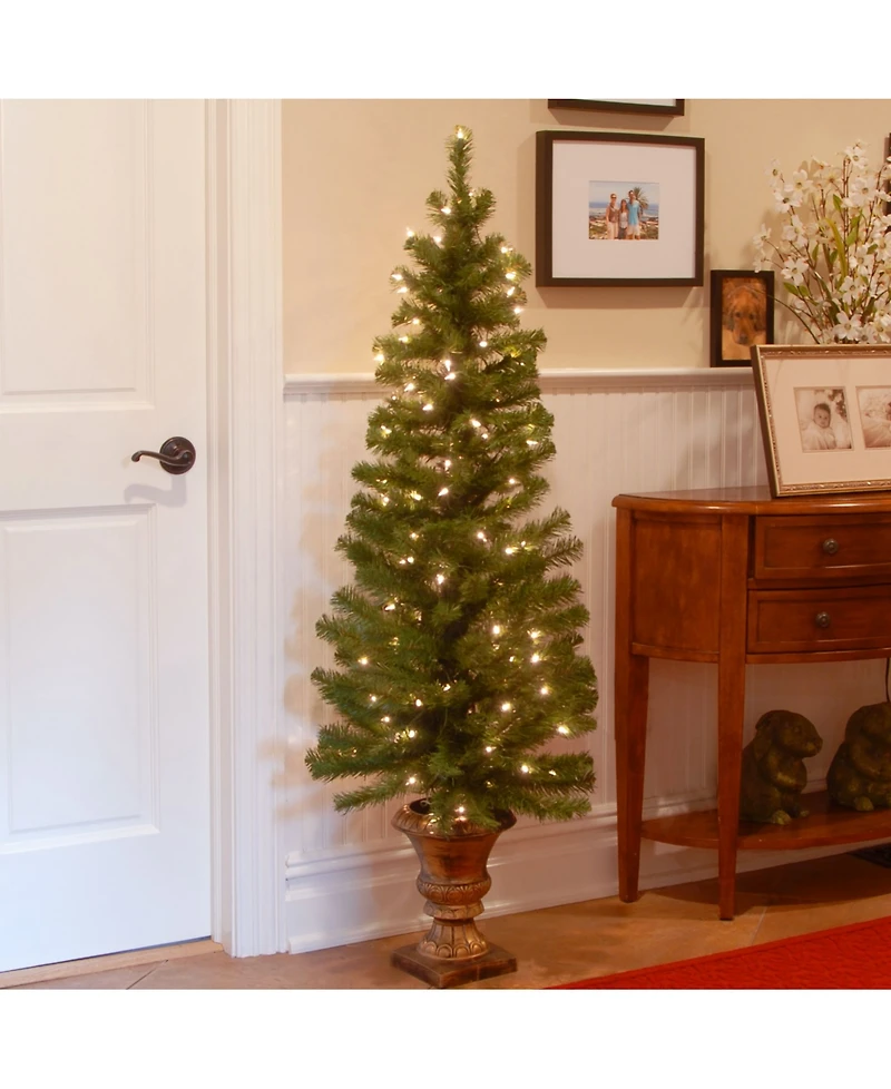 National Tree Company 5' Montclair Spruce Entrance Tree in 12" Black/Gold Plastic Pot with 100 Clear Lights