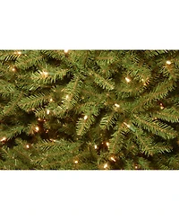 National Tree Company 12' Dunhill Fir Tree with 1200 Dual Color Led Lights and Power Connect