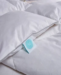 Martha Stewart 75%/25% White Goose Feather & Down Comforter, Full/Queen, Exclusively at Macy's